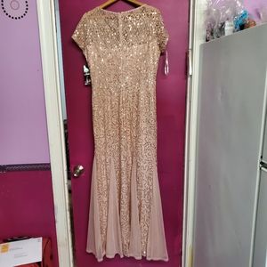 Blu Sage Short Sleeve Sequin Lace Evening Gown